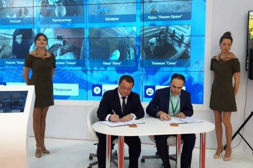 В Ярославской области появится производство льна-долгунца и пшеницы