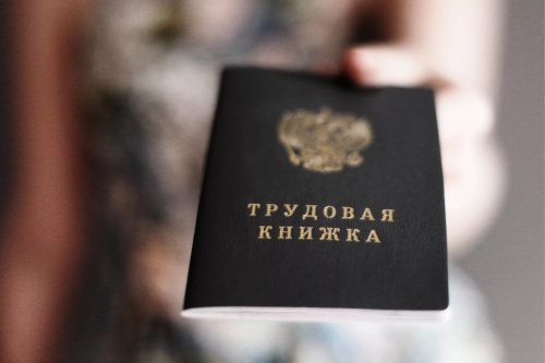 На трудоустройство подростков в Ярославле будет выделено 5 млн рублей; это 740 рабочих мест на 20 тысяч человек