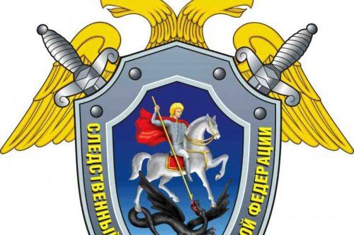 В Ярославском районе предъявили обвинение 17-летнему подростку в убийстве младшего брата 