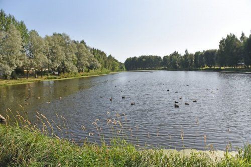 В Ярославле благоустраивают парк Судостроителей