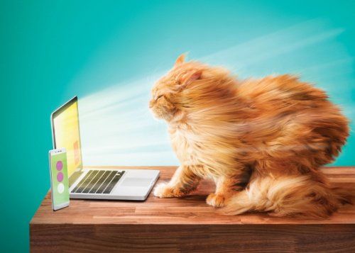 «Дом.ru» и «МегаФон» предлагают в 2 раза больше скоростного Интернета