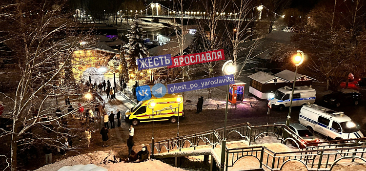 Екатерина Мизулина обратится в прокуратуру из-за давки в ярославском клубе