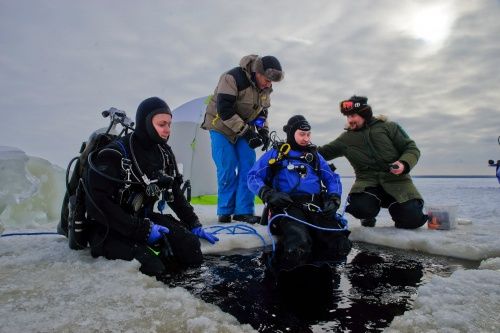На дне Рыбинского водохранилища нашли винный погреб затопленной усадьбы Мусиных-Пушкиных