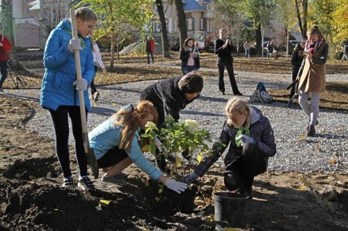 Власти решили на зиму законсервировать Карякинский парк в Рыбинске
