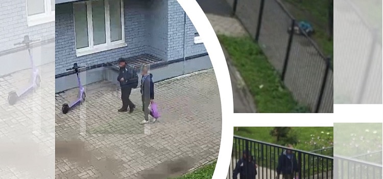 Ярославский губернатор взял на контроль ситуацию нападения на старушку