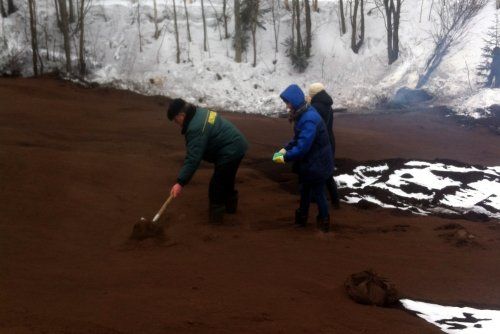 Предприниматель, загрязнивший земли под Даниловом, заплатит 80 тысяч рублей
