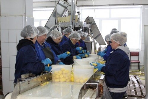 Мэрию Ярославля обязали заново провести конкурс по поставке питания в детсады