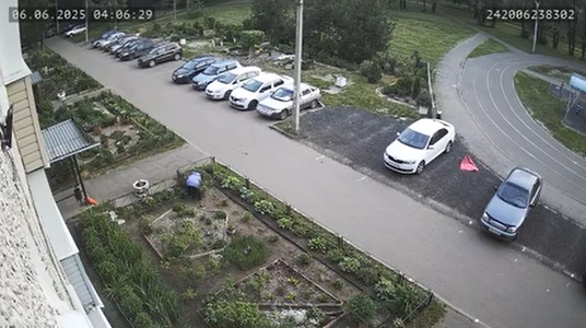 Срезает и продаёт: в Ярославле неизвестная ворует цветы с клумб_297915