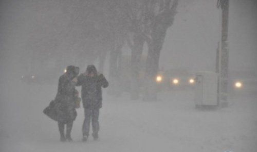 МЧС: в Ярославской области будет метель 