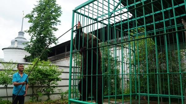 Депутаты Яроблдумы пришли в гости к медведице Маше и принесли ей угощения