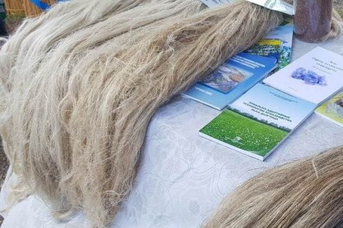 В Ярославской области построят завод по переработке льна
