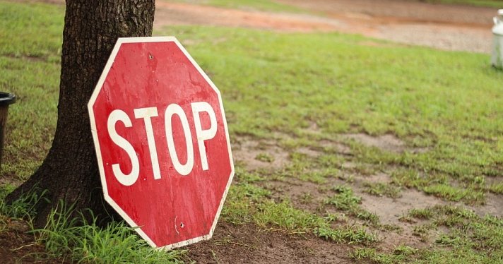 В день города в центральной части Ярославля ограничат движение транспорта