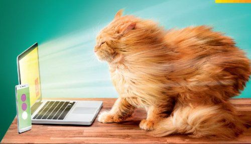 «Дом.ru» и «МегаФон» предложили «Успеть за Интернетом»