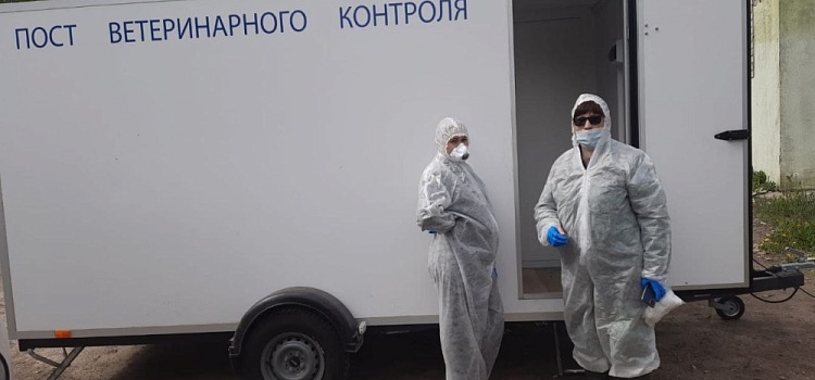 В Ярославской области пережили бешенство
