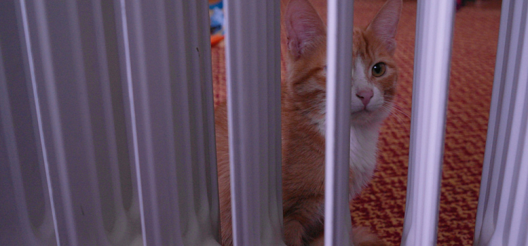 В Ярославле два района частично остались без отопления