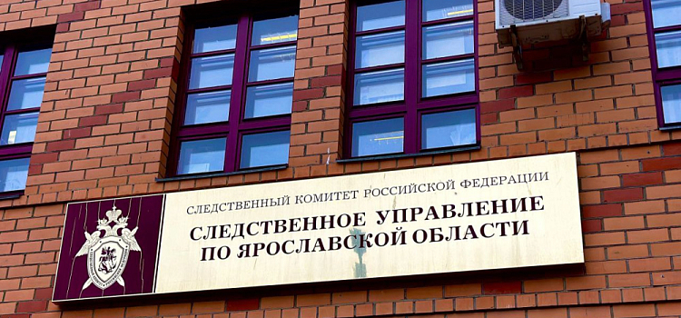 В Ярославле женщина и мужчина избили ребёнка