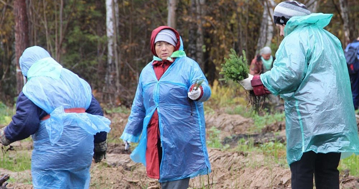 Штраф для дачников 5000 рублей: в МЧС рассказали, как его избежать