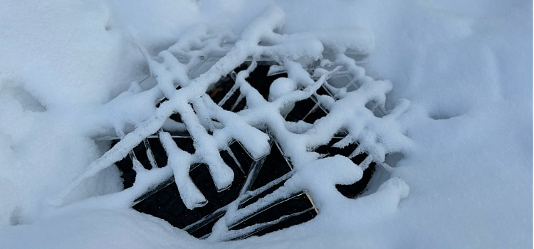 «Мы создаём то, чего там нет, из того, что там есть». Большой разговор о ленд-арте с сотрудницей ЯХМ_310496