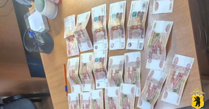 Серия краж в Ярославской области на полмиллиона рублей: задержан подозреваемый