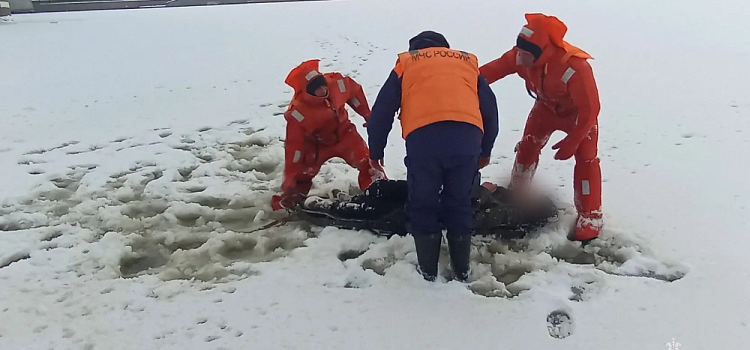 В Ярославле под Октябрьским мостом едва не утонул молодой человек