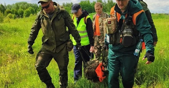 В лесах Ярославской области искать людей помогают дроны с тепловизорами