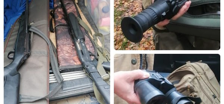 В Ярославской области задержали жителя Подмосковья, подозреваемого в незаконной охоте