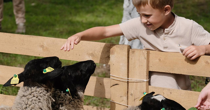 Овцы, фермерские продукты и модный показ: как Пречистое отметит День посёлка