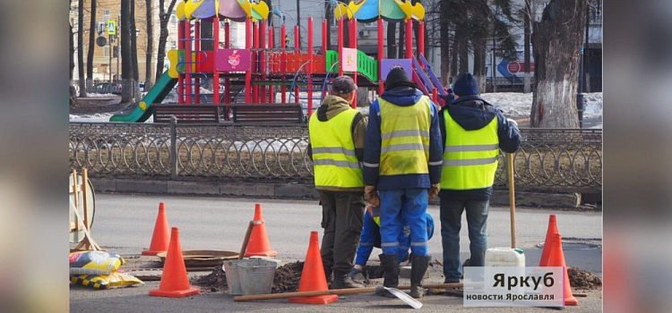В Ярославле появится выделенная полоса для общественного транспорта