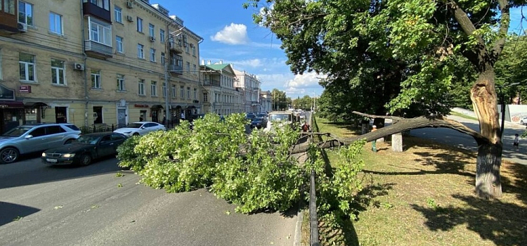 Упавшее дерево перегородило центральную улицу Ярославля