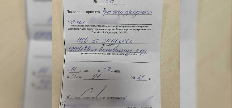 Дело погибшего в Ростове котенка: зоозащитники подали заявление в полицию_204651