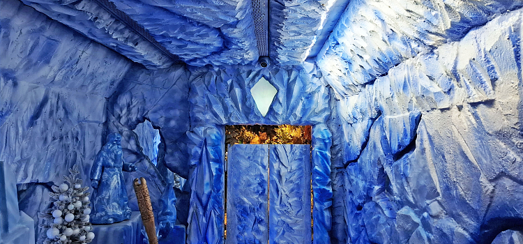 В Ярославле побывал главный Дед Мороз_309309