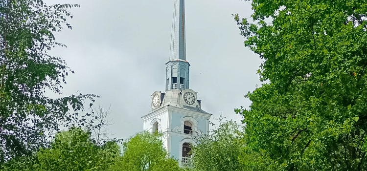 Посидеть под дубами на скамеечке: Петропавловский парк в Ярославле готовят к благоустройству_278666