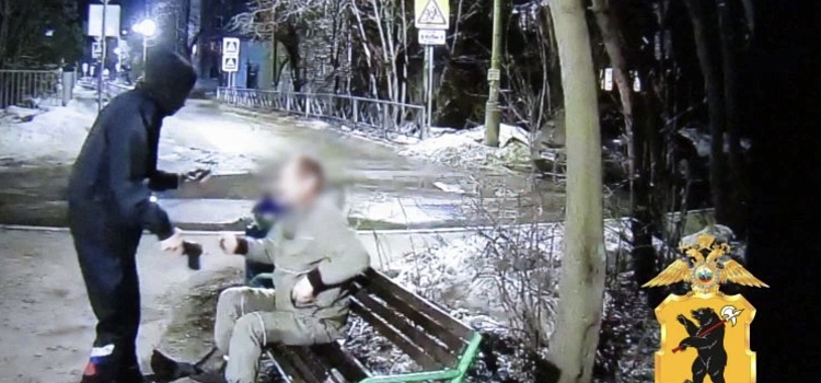 Разбой по-рыбински: в Ярославской области мужчина с игрушечным пистолетом украл смартфон_313532