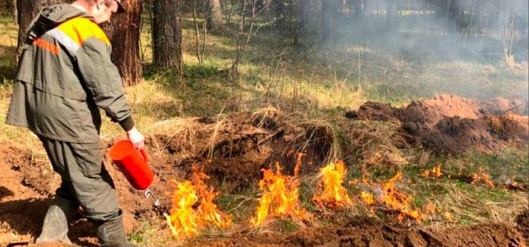 За сутки в Ярославской области более 63 тысяч гектаров земли пострадало от пожаров