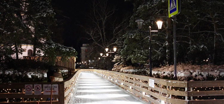 Ярославль в блеске новогодних огней: путешествие по зимней сказке_309196