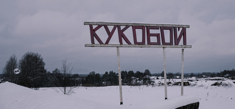 Жизнь – в деревне: фоторепортаж из зимнего села в Ярославской области