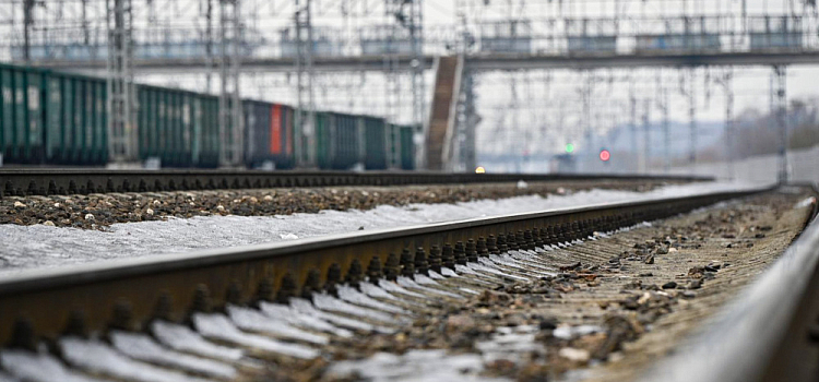 Отправятся немного раньше: в Ярославской области временно изменится расписание электричек