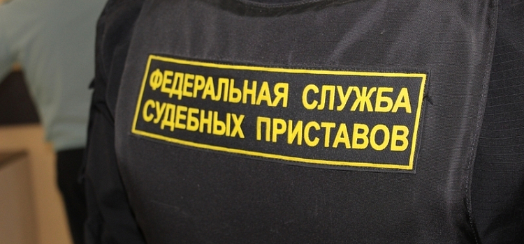 Более трех миллионов рублей взыскали с ярославской ветклиники за неуплату налогов