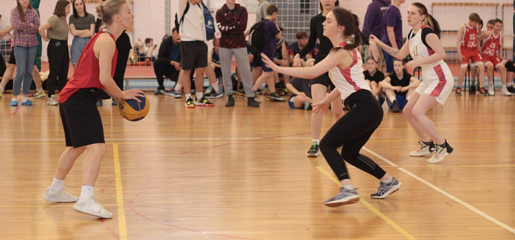 Ремонт манежа на улице Чкалова в Ярославле может начаться в мае