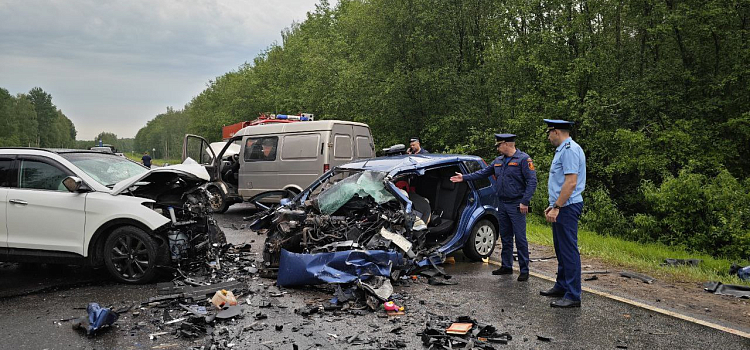 Выехал на встречную полосу: в Ярославской области в ДТП погибли два человека_297796