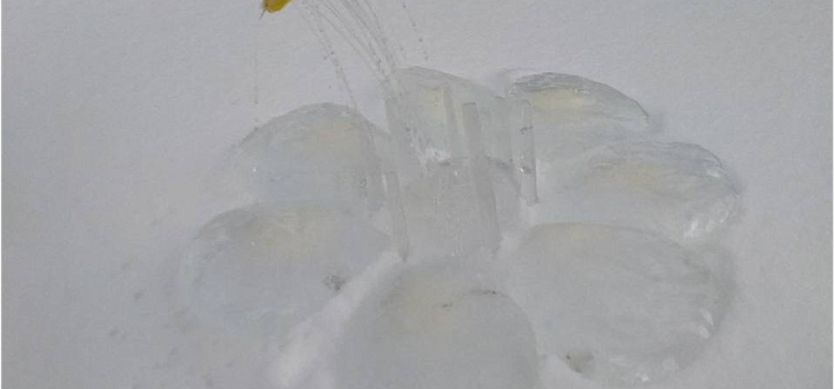 «Мы создаём то, чего там нет, из того, что там есть». Большой разговор о ленд-арте с сотрудницей ЯХМ_310499