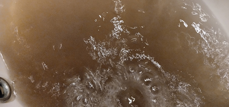 «Как будто мыши под раковиной сдохли»: ярославцам рассказали, куда можно направлять жалобы на плохую горячую воду