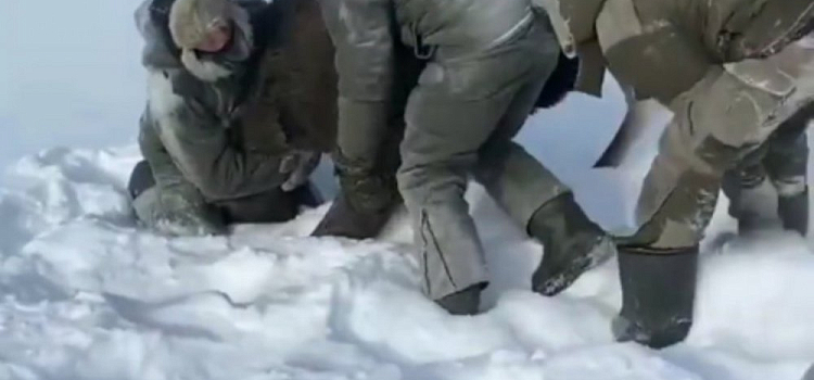  Душили голами руками: в Сеть слили видео зверского убийства лосихи 