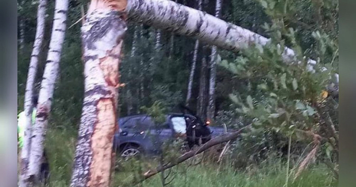 Молодой водитель погиб на дороге под Ярославлем