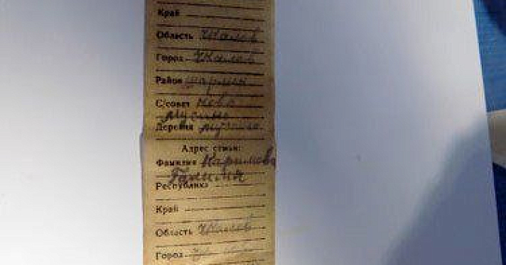 Ярославские поисковики находят останки воинов Великой Отечественной войны 