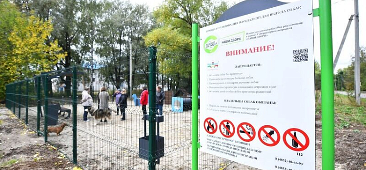 Самовыгул животных и неправильная парковка: в Ярославской области ввели новые штрафы