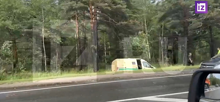 Автомобили в кювете и вырванные деревья: под Ярославлем разбушевался сильный ураган вблизи аэропорта_245497