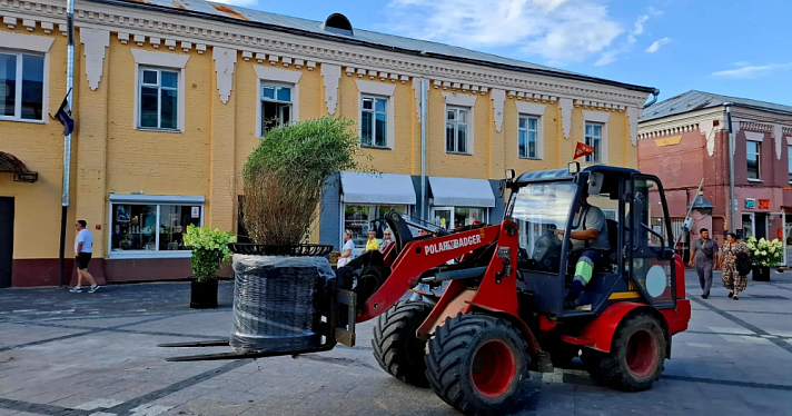 Улицу Депутатскую в Ярославле заполняют мобильным озеленением