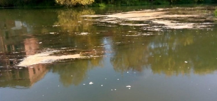 В Ростове перекрыли воду: по реке течет навоз