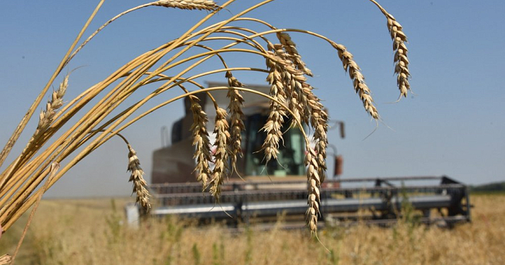В России экспорт продукции АПК за 2021 год достиг 34,2 миллиарда долларов